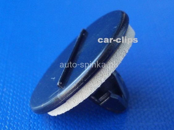 C70319C.jpg