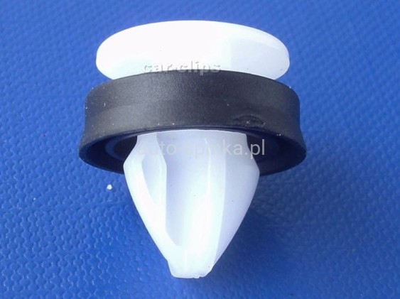 C70342B.jpg