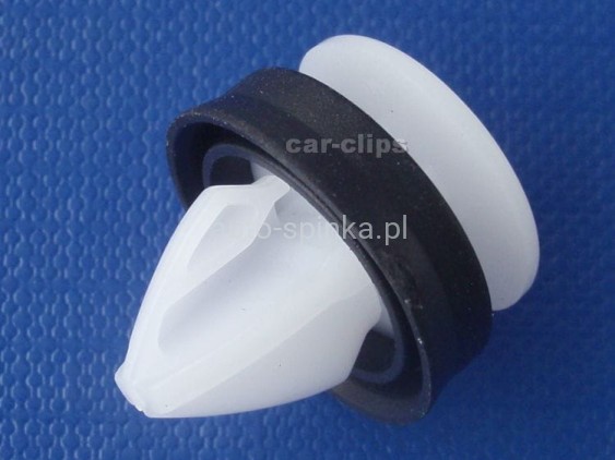 C70342D.jpg