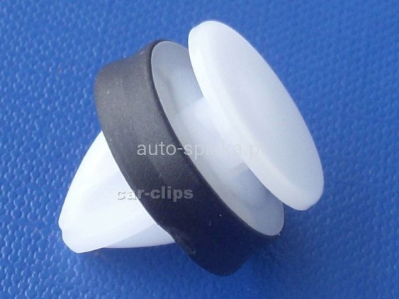 C70342G.jpg
