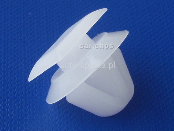 C70349C.jpg
