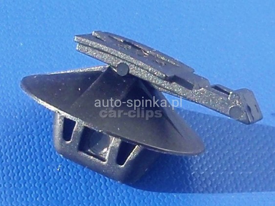 C10066M.jpg