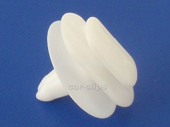 C10098M.jpg
