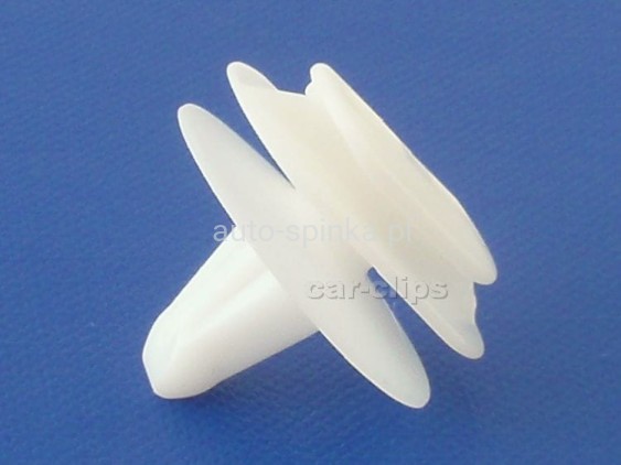 C10098Ń.jpg