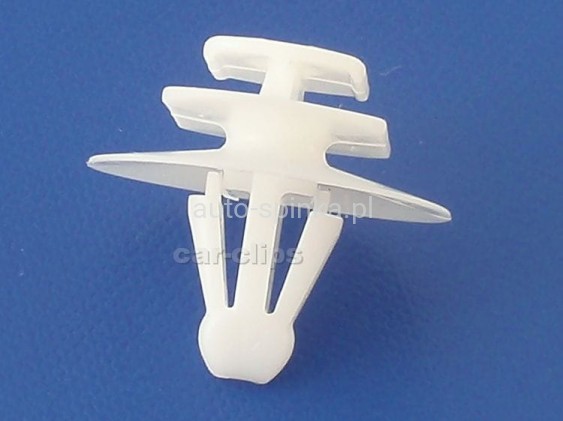 C10098P.jpg