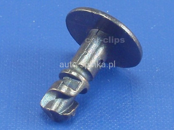C10126L.jpg