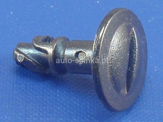 C10126M.jpg