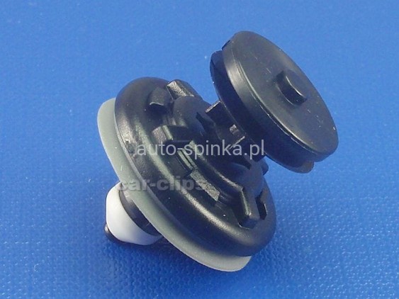 C40723Q.jpg