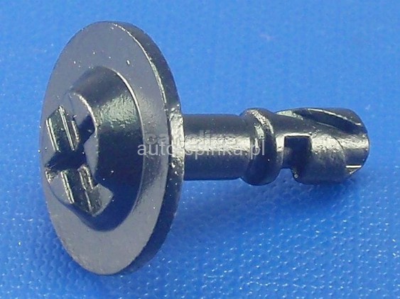 C10123Ń.jpg
