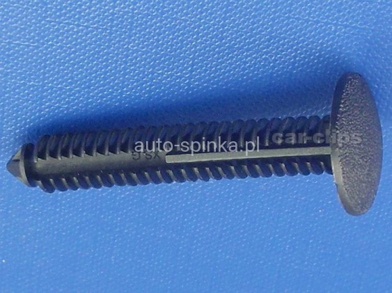 C70181M.jpg