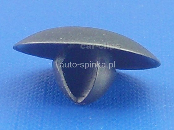 C70649A.jpg