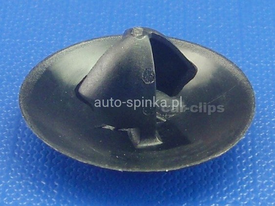 C70649E.jpg