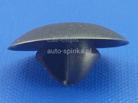 C70649F.jpg