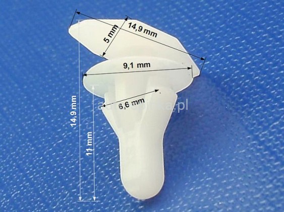 C10070B1 wymiary.jpg