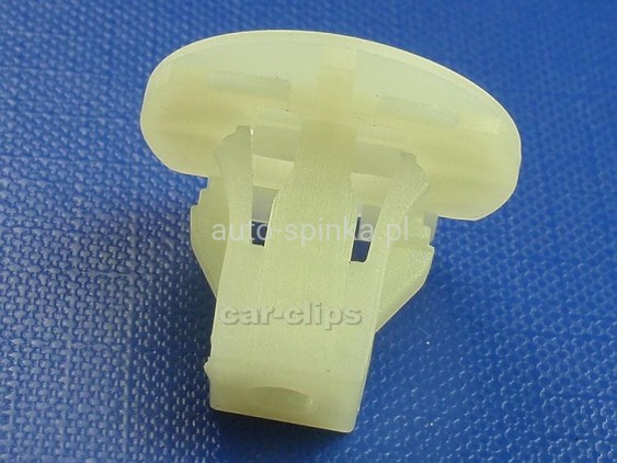 AS-428582Ł.jpg