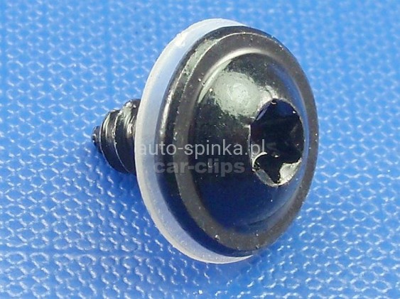 C70812F.jpg