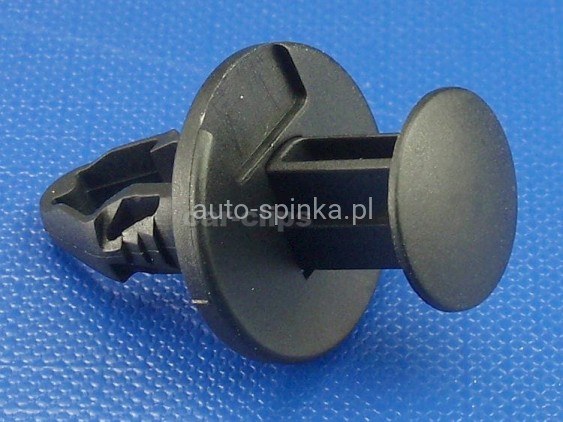 C70861E.jpg