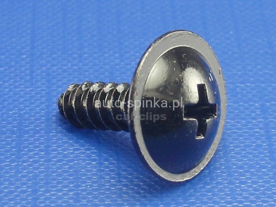 C70880B.jpg