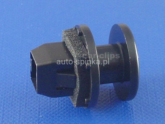 C70896F.jpg