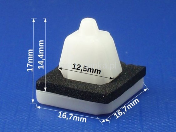 ASC0970-1 WYMIAR.jpg