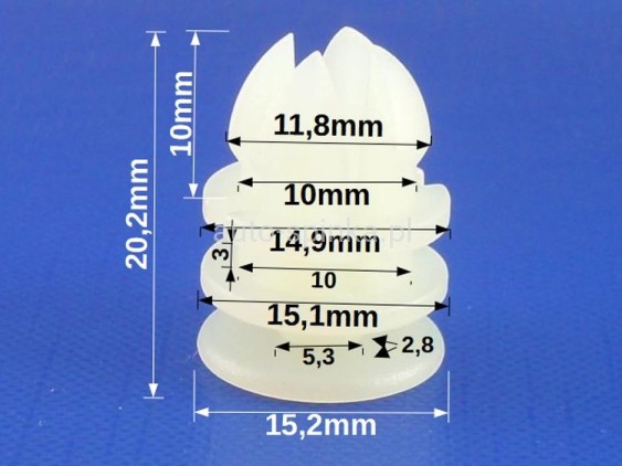 ASC3646-1A WYMIAR.jpg