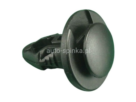 ASC3839-1CX.jpg