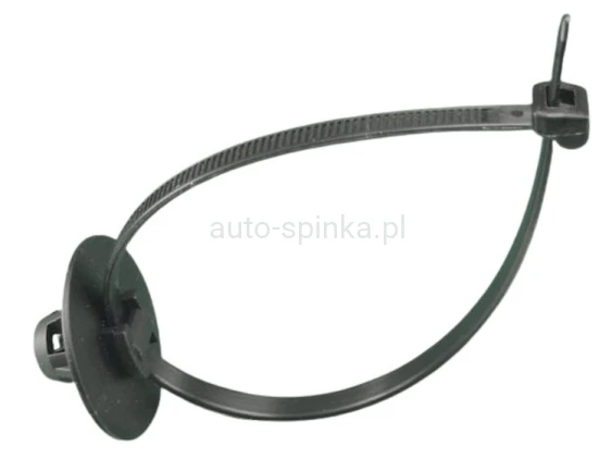ASC3818-1BX.jpg