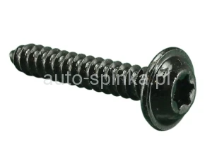 59224 Wkręt 4,2 x 25 TORX BLACHOWKRĘT czarny