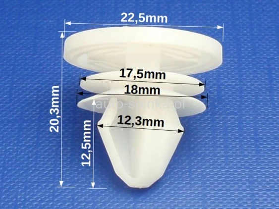 C80166 - 1YMIAR.jpg