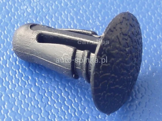 C70528E.jpg