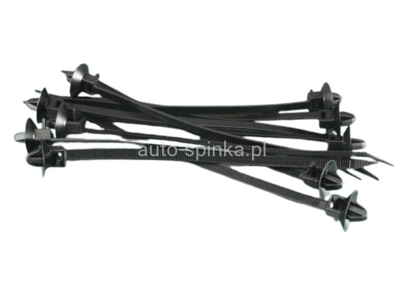 ASC3959-10AX.jpg