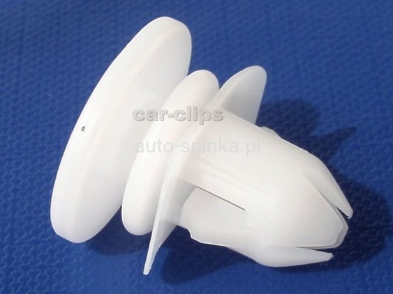 C70118L.jpg