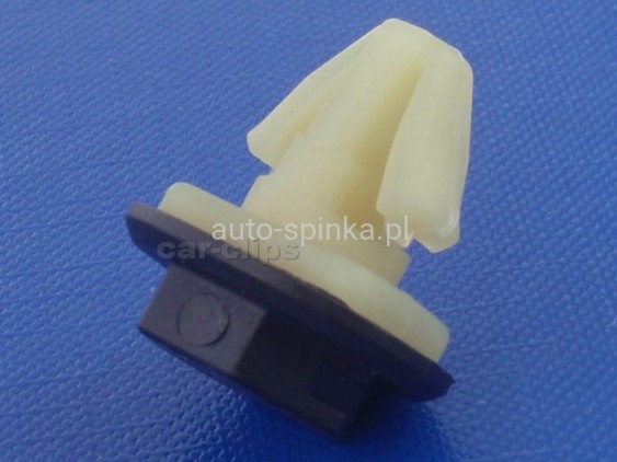 C60568G.jpg