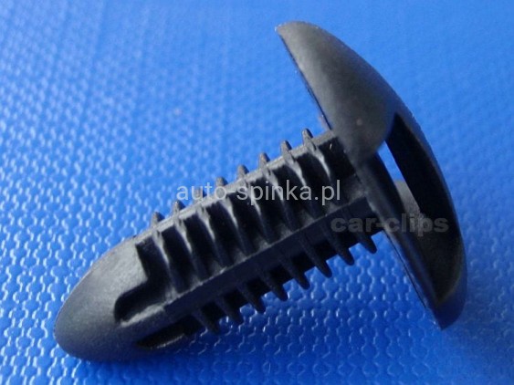 C60643D1.jpg