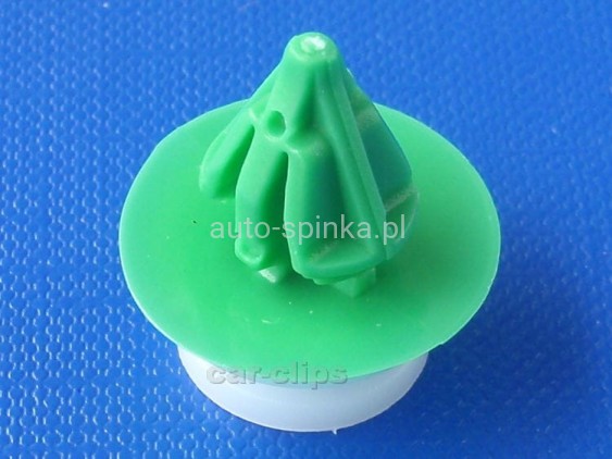 C30142K.jpg
