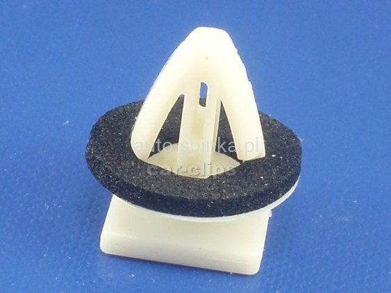 C70604F.jpg