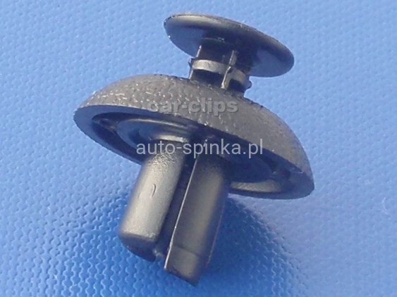 C60459Ń.jpg