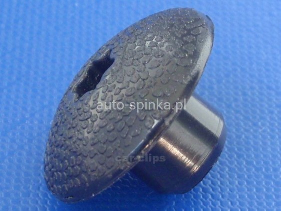 C30927G.jpg