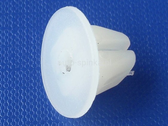 C70169F.jpg