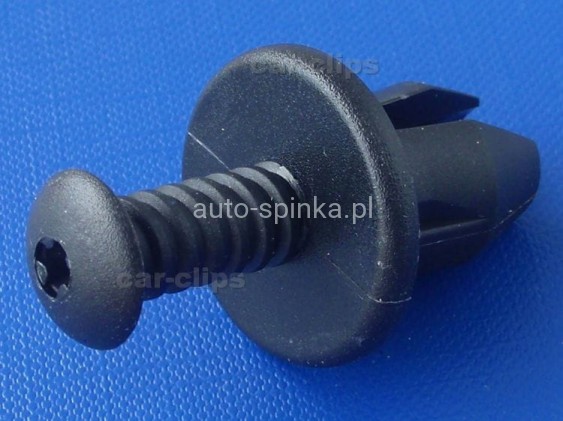 C60360F.jpg