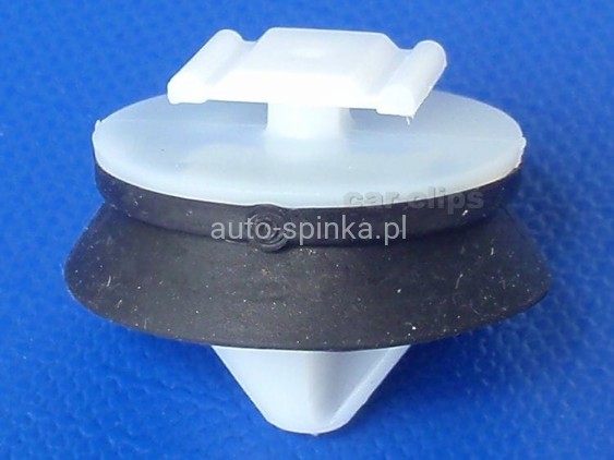 C60667H.jpg