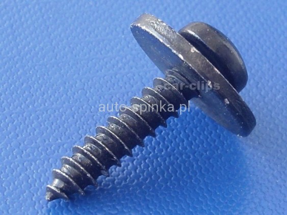 C60361F.jpg