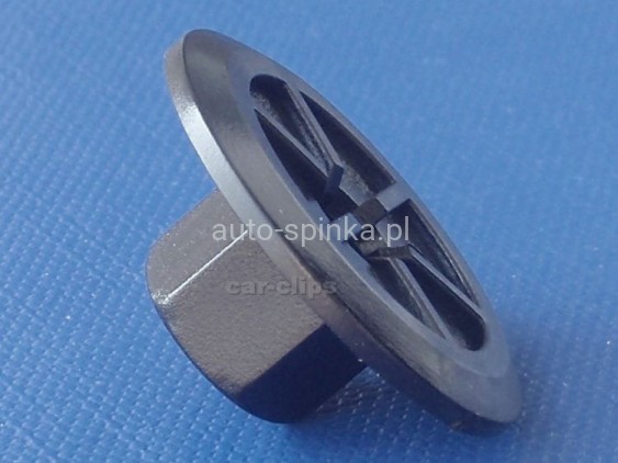 C10031H.jpg