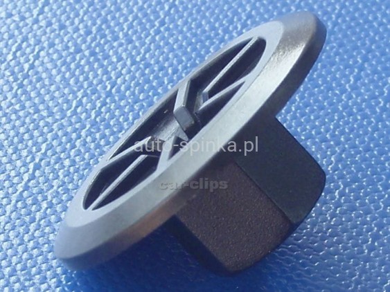C10031D.jpg