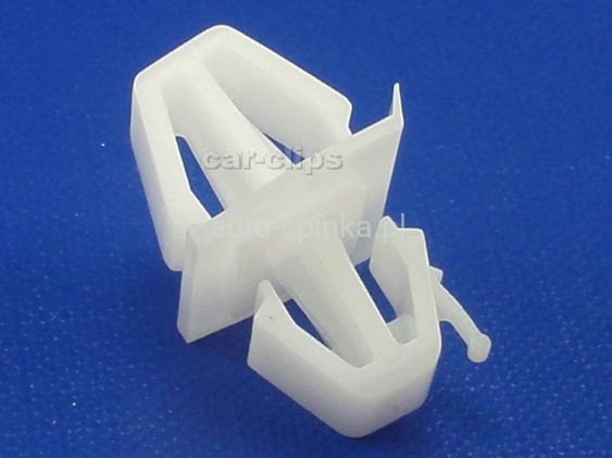 C50493H.jpg