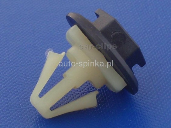 C60568D.jpg