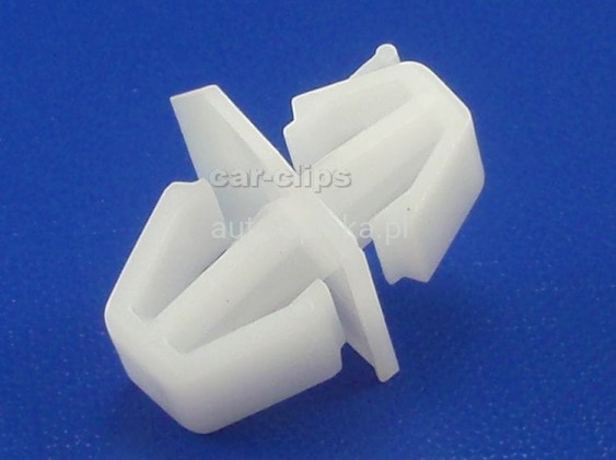 C50493G.jpg
